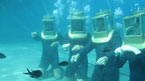 Under havoverfladen med Undersea Adventure
