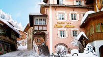 Stella Alpina