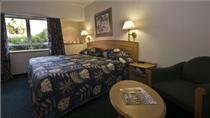 City Lodge