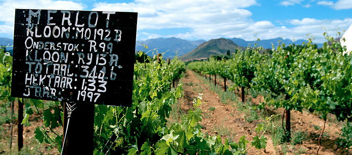 Resor till Winelands.