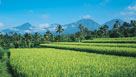 Ubud