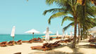 Sanur