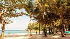 Surin Beach
