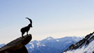 Gressoney