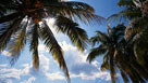 Varadero