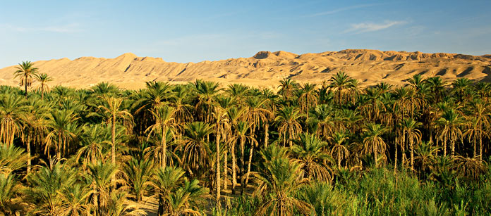 Konferens i Tunisien
