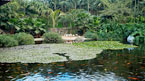 Teneriffa och Loro Parque